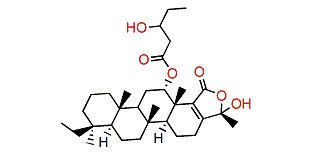 Phyllactone A